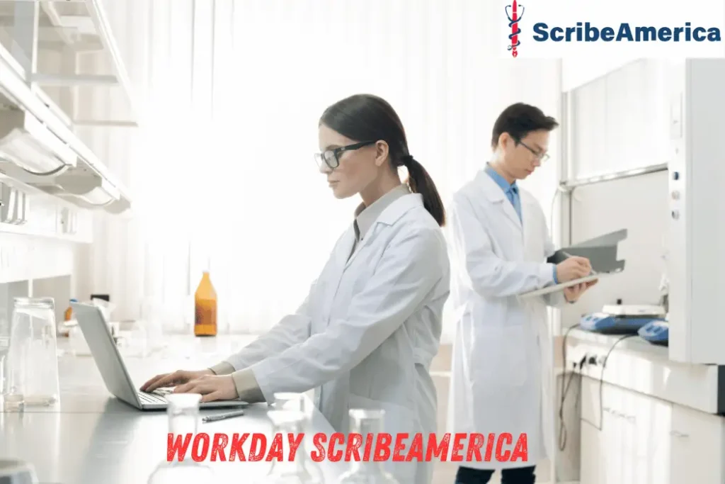 workday scribeamerica