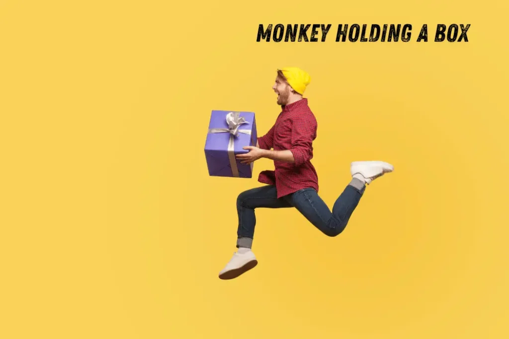 monkey holding a box (1)